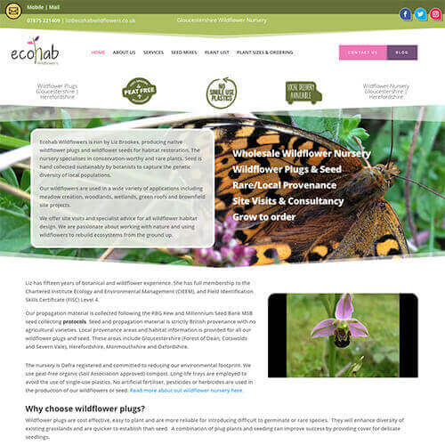 Ecohab Website