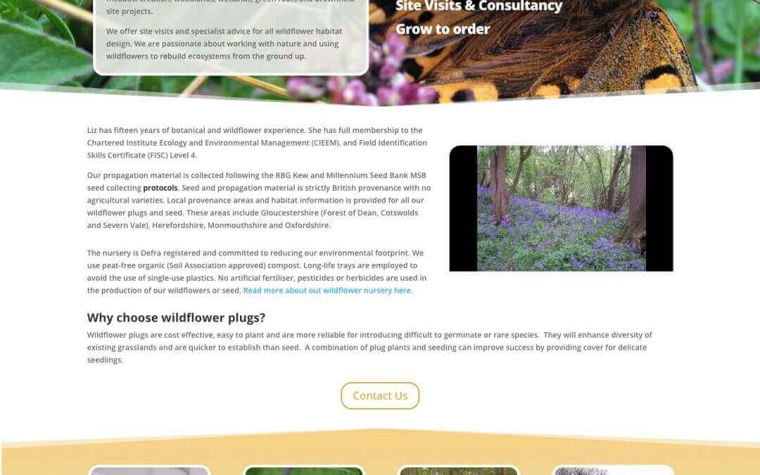 Website Design – Ecohab Wildflowers