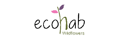 Ecohab Website